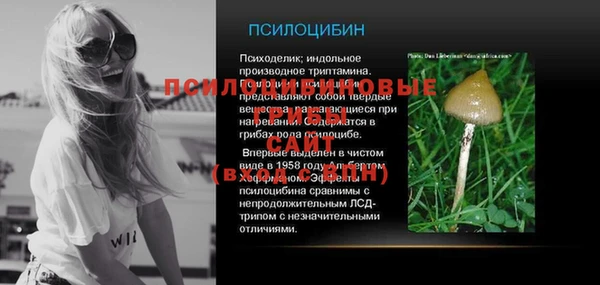 дмт Верея