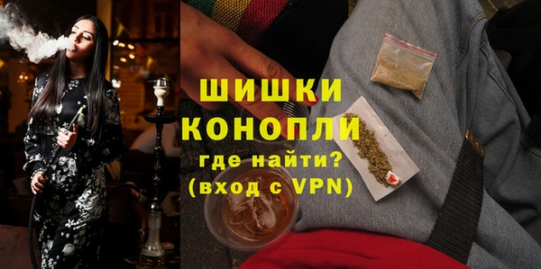 дмт Верея
