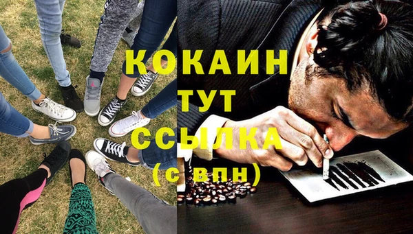 дмт Верея
