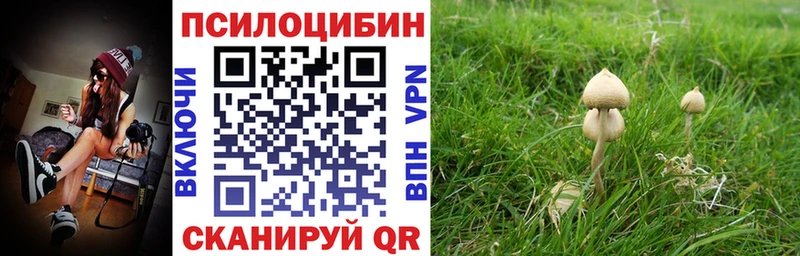 Псилоцибиновые грибы GOLDEN TEACHER  где найти наркотики  Мончегорск 