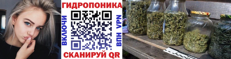кракен рабочий сайт Мончегорск Каннабис сатива